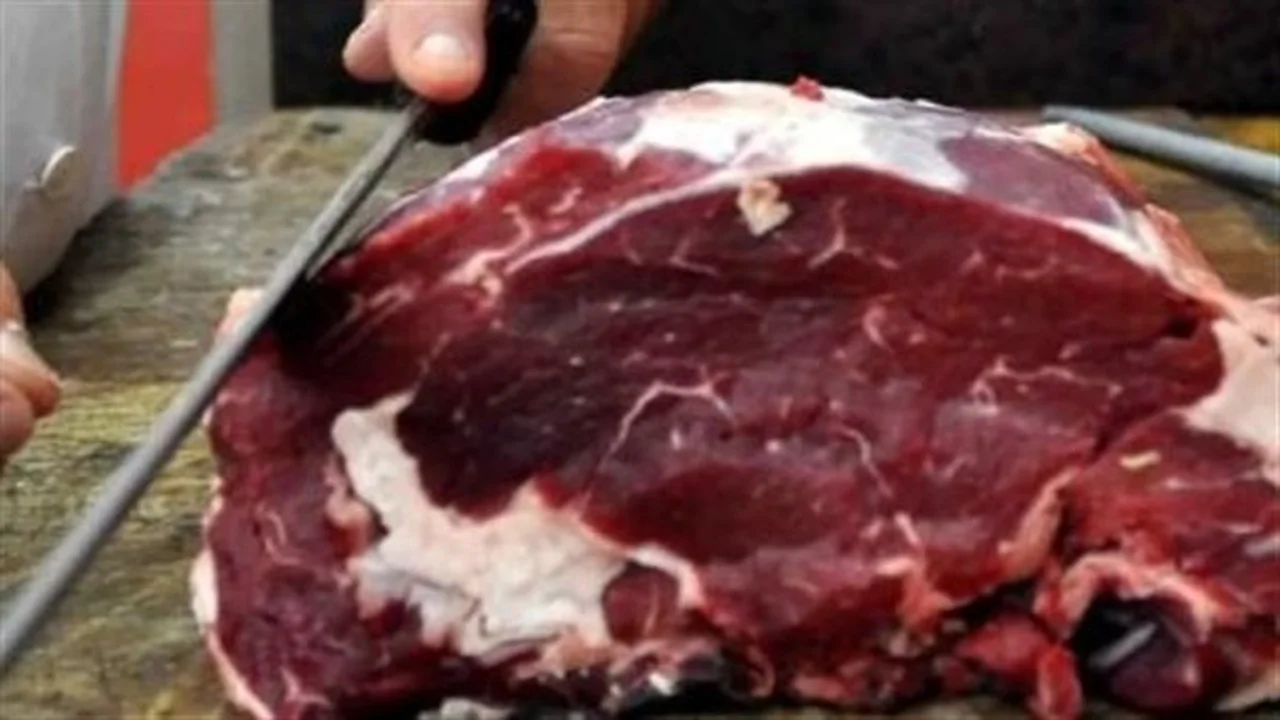 تحديثات محلات الجزارة.. قائمة أسعار اللحوم الكندوز والضأن بمختلف المحافظات المصرية أصدرت